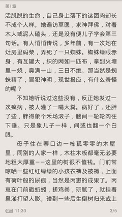 新郑市代办菲律宾签证无抵押无担保无填表 极速办理